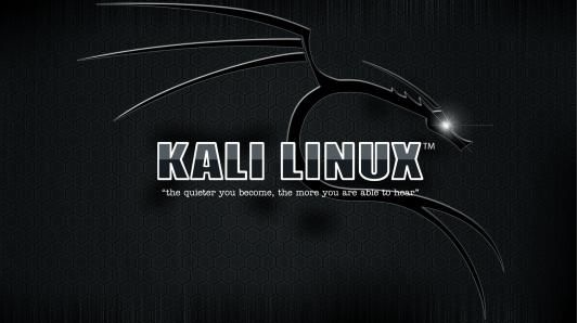 黑客必备的Kali Linux是什么，有哪些弊端？